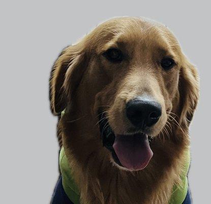 Retriever Tax and CPA Advisory