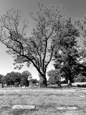Highland Cemetary