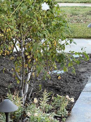 Enough Plumbing & Drains