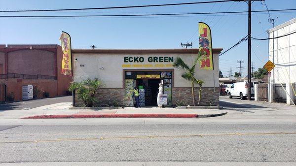 Ecko Green Enterprise