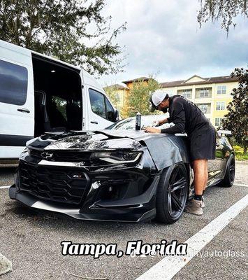 High Quality Auto Glass