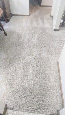 Ultra Carpet Cleaning