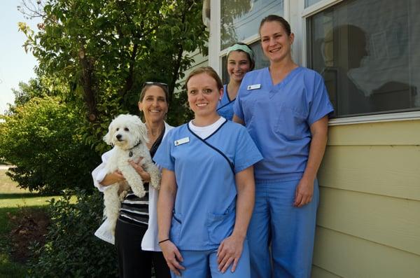 Noah's Animal Hospital North