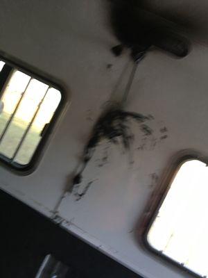 Shadow Trailer World - Ocala