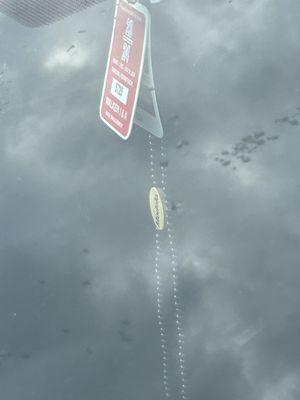 $145 later and I guess I have to switch them back and forth since they're apparently unable to see.