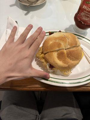 Bacon, Egg and Cheese Sandwich