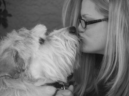 Little Monsters Pet Care