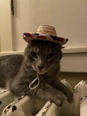 Mitch Rice Injury Law