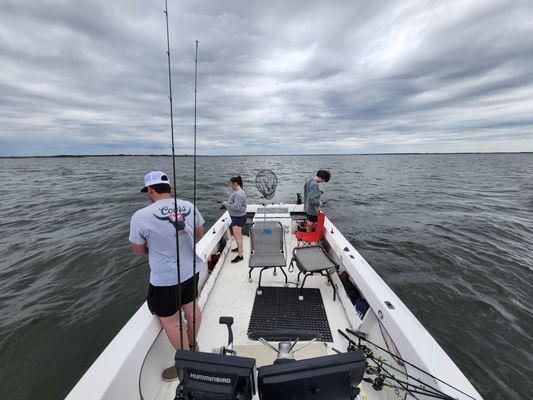 Coop's Guide Service