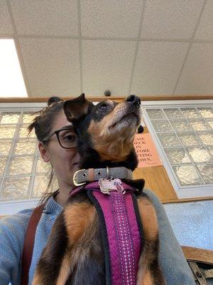 All Creatures Veterinary Clinic