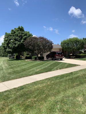 Erik's Landscaping and Trees, LLC
