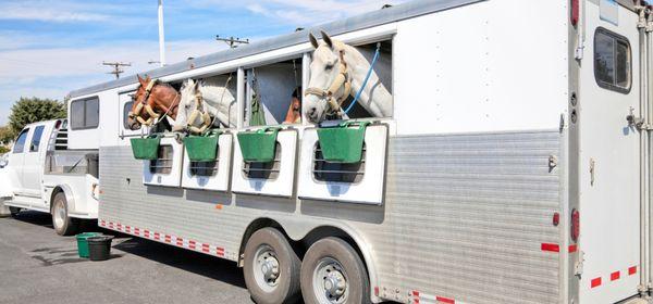 Whether you're preparing for a rodeo, a long-haul trip, or a local trail ride, you can trust Convenience RV to ensure your trailer is safe.