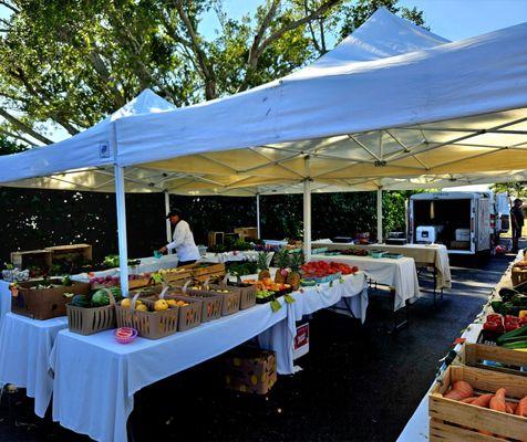 Platinum Point Yacht Club