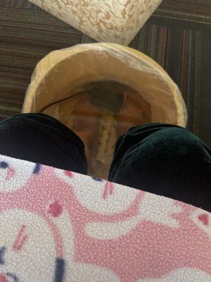 Getting a foot detox!