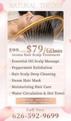 60Min Hair Scalp Treatment promotion