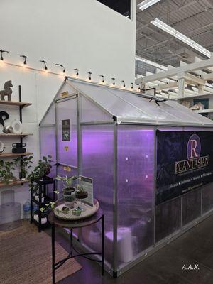 Painted Tree Boutiques