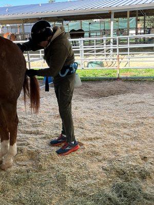 My son grooming a horse with supervision (not in pic)