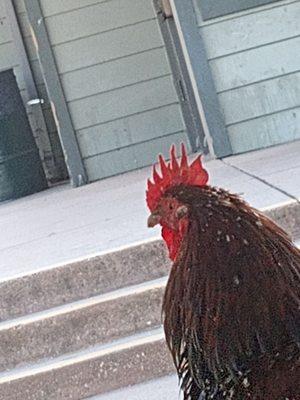 Foothill Family Clinic