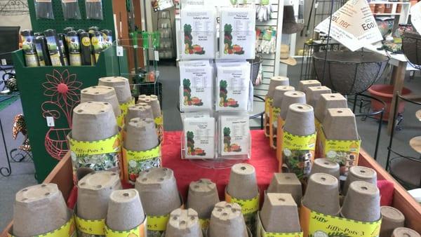 Seeds have arrived, more coming soon!!