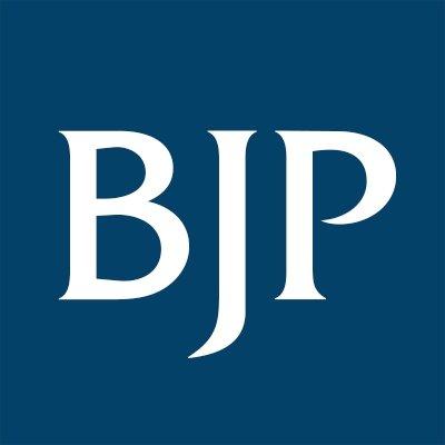 Brion J Payne - Lawyer