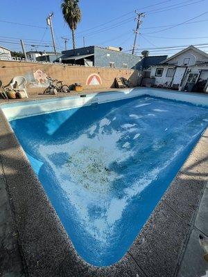 Alberto’s cleaning Pool service