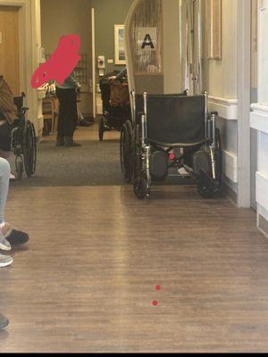 Hallway we sat where the wheelchairs are
