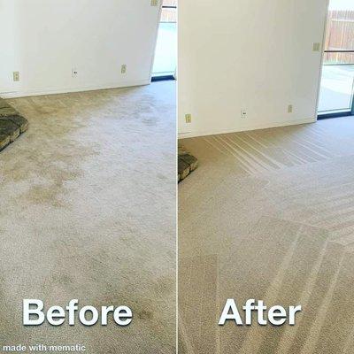 Professional Steam Cleaning
