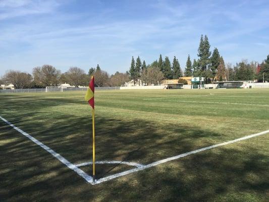 The pitch at Hornet Field