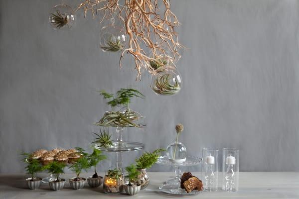 Nature table with manzanita branches, tin molds, and clear glass