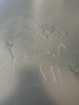 Metal Wires from old faulty pool brushes