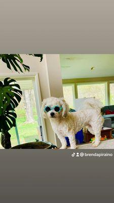 Katie makes my Aria look and feel like a Movie Star