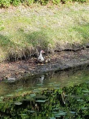 Priority Appraisal & Mortgage Services