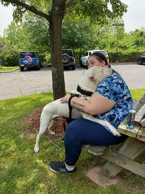 Nicole’s Pet Sitting