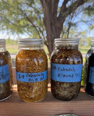 Living Earth Systems Farm Stand