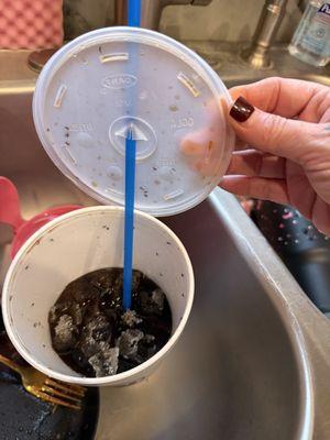 Saguaro Liquor Groceryllc