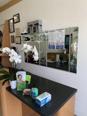 Mayte's Beauty Salon