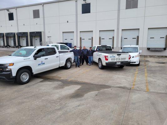 Anytime Pest Elimination Austin