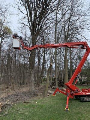 Redd's Tree Service