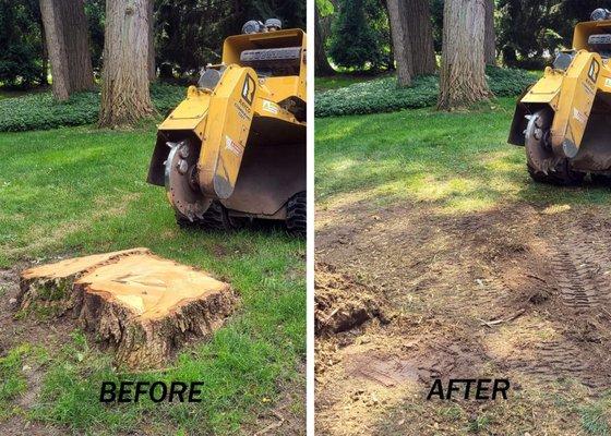 Stump Grinding
