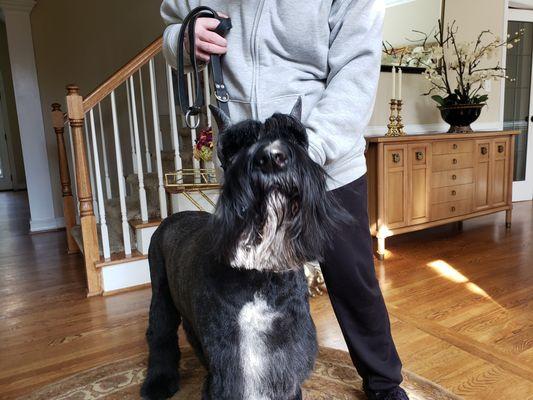 This is what it is supposed to look like.