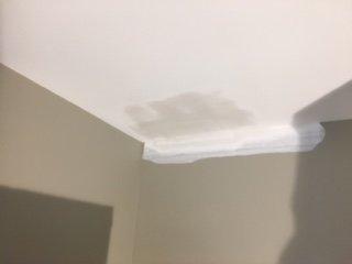 Repaired water damage