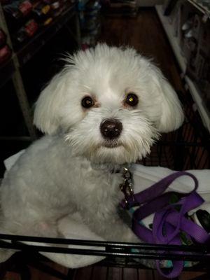 Ms Daisy says Where are we?