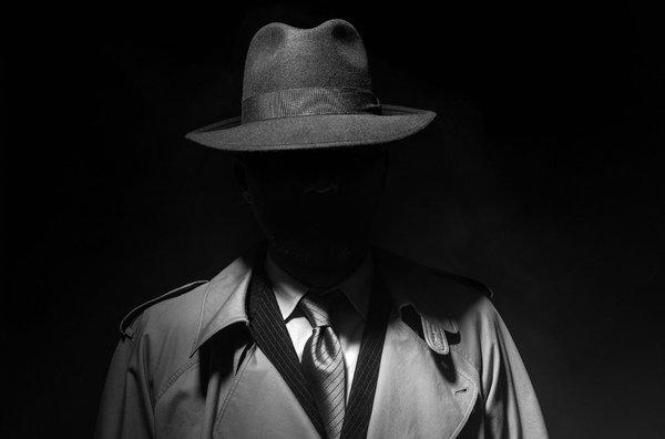 La Costa Detective Agency