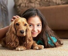 Steven's Flooring Plus