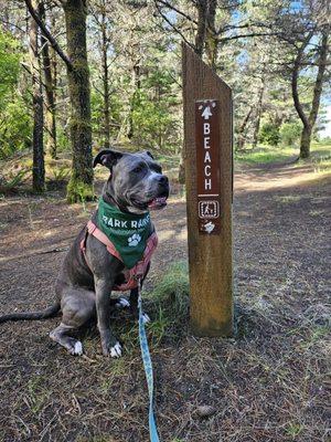 Twin Harbors State Park