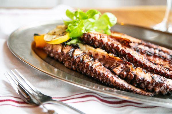 Chef's Special Grilled Octopus