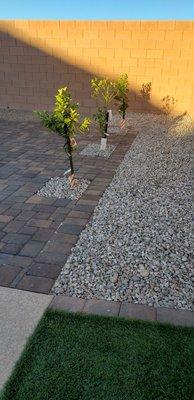 MD Landscaping