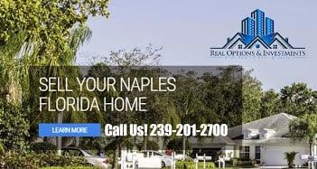 Real Options and Investments