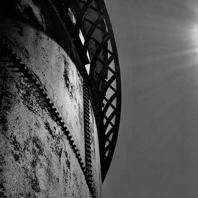 Romberg Tiburon Center for Environmental Studies