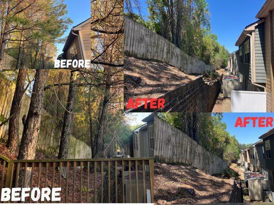 Before and after tree removal